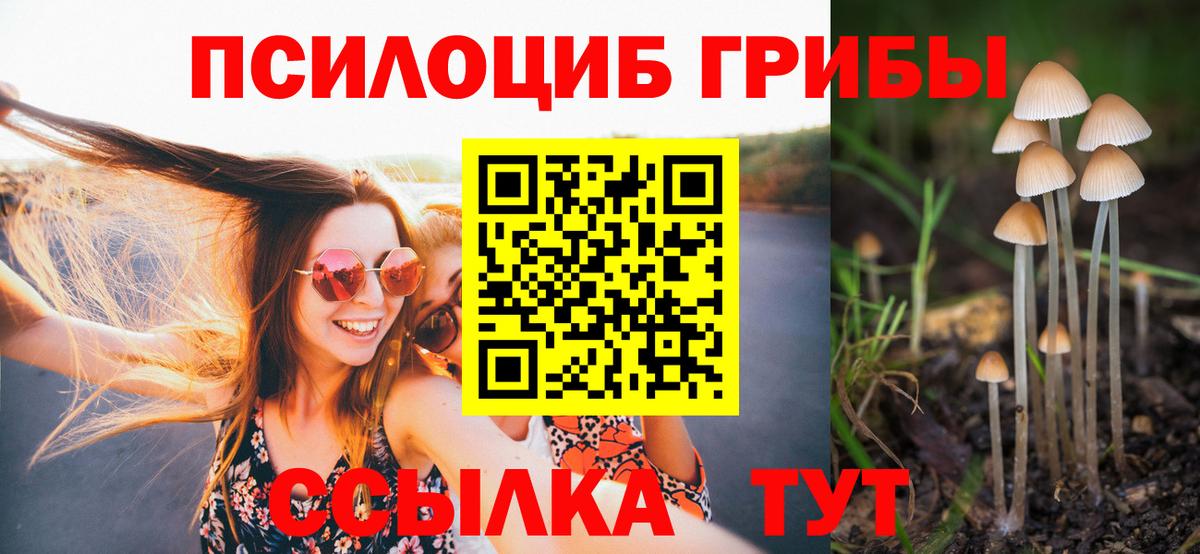 Галлюциногенные грибы Cubensis Ханты-Мансийск